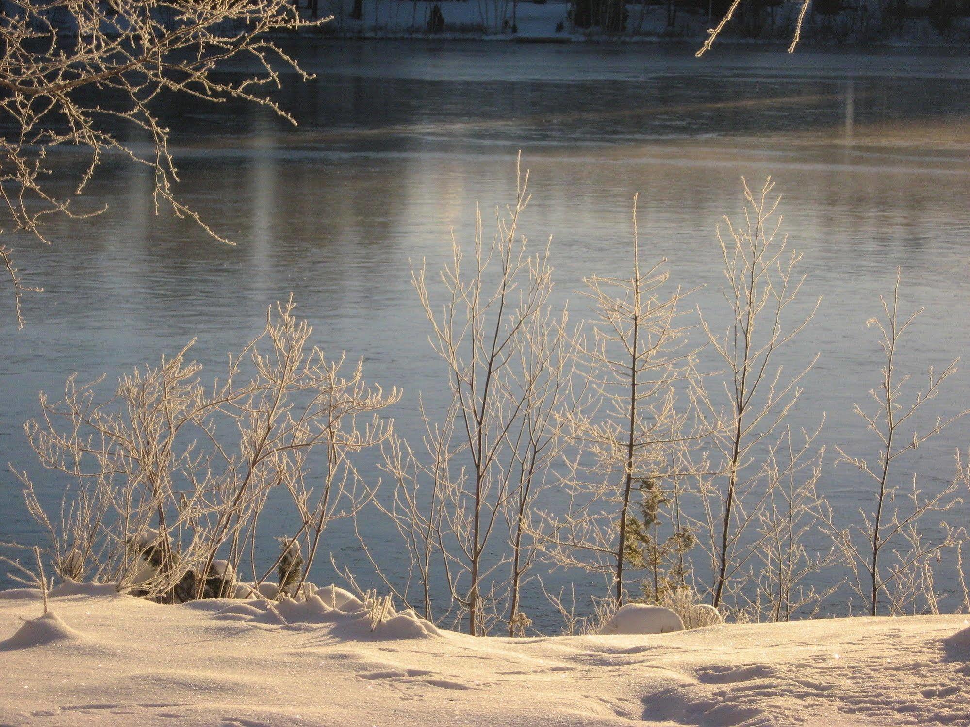 Gite Du Lac Docteur Bed and Breakfast Saint-Honoré Buitenkant foto